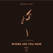 Where Are You Now (VIP Radio) artwork