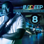 In2deep, Vol. 8 artwork