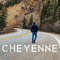 Cheyenne artwork
