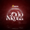 Odo Nkoaa (feat. Akwaboah) - Single