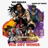 Wiz Got Wings