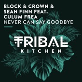 Never Can Say Goodbye (feat. Culum Frea) [Radio Edit] artwork