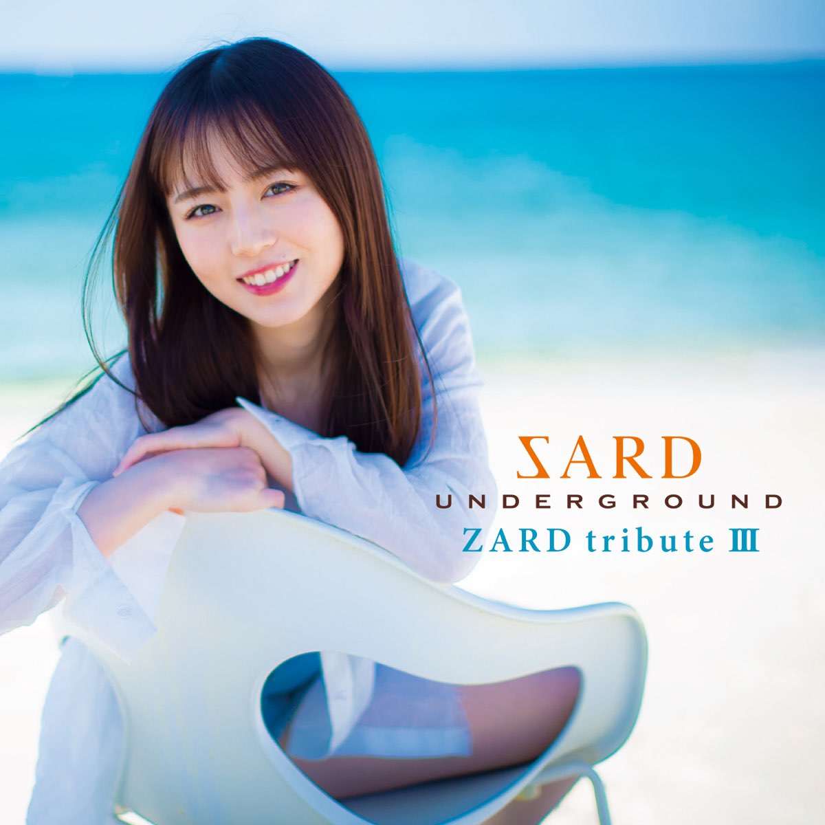 室外 sard underground ZARD tribute Ⅱ ポスター B2 | stdelectro.ru