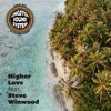 Higher Love (feat. Steve Winwood) - Single