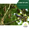 A Day of Life - The Collection of Nature Music album lyrics, reviews, download