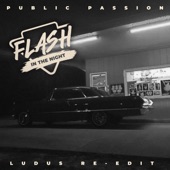 Public Passion - Flash in the Night (Ludus Re-Edit)
