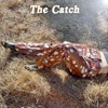 The Catch - Single