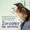 Zorzales de Antaño - Armando Moreno y Enrique Rodriguez - Tango Argentino