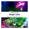 Magic Land