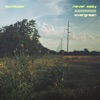 Never Easy // Evergreen - Single