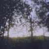 Orchid - EP