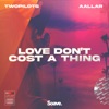 Love Don't Cost a Thing - Single
