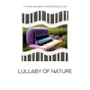 Lullaby of Nature - Soft Piano and Blissful Rain album lyrics, reviews, download