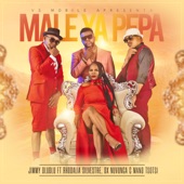 Male Ya Pepa (feat. Rhodalia Silvestre, Dx Nuvunga & Mano Tsotsi) artwork