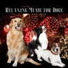 Relaxing Music for Dogs to calm from Fireworks, Loud Noises