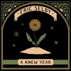 A Knew Year - Single