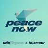 Peace Now (Folamour Remix) - Single