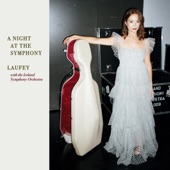 A Night At The Symphony artwork