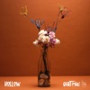 Hollow - Single