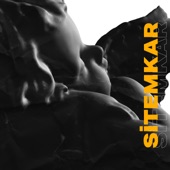 Sitemkar artwork