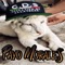 Operativo Mz (El Macho Wero) (feat. Diego Sierra) - Payo Morales lyrics