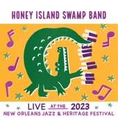 Honey Island Swamp Band - Boneshaker (Live)