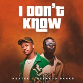 I Don't Know (feat. Reekado Banks) artwork