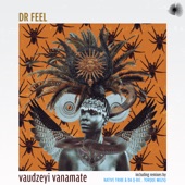 Vaudzeyi Vanamate (Native Tribe & da Q-Bic Inhuman's Remix) artwork