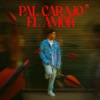 Pal Carajo el Amor - Single