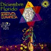 Diciembre Florido