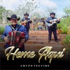 Heme Aquí - Single