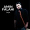 Saqi - Amin Falahi lyrics