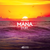 Mana (Dilby Remix) artwork