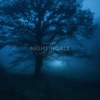 Nightingale - Single