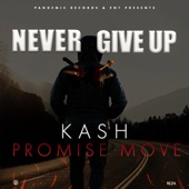 Never Give Up artwork