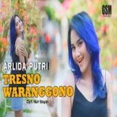 Tresno Waranggono artwork