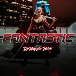 Fantastic - Single by Dj Hüseyin Belek album reviews, ratings, credits