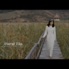 Harul Tau - Single