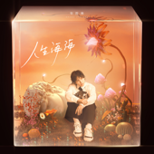 Magnificent Life - Zhang Zhe Han Cover Art