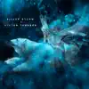Silver Storm and Winter Thunder - Single album lyrics, reviews, download