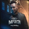 Que Importa - Single