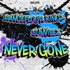 Never Gone - Single