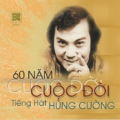 60 Năm Cuộc Đời artwork