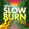 Slow Burn - Single album lyrics, reviews, download