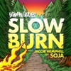 Slow Burn - Single, 2022