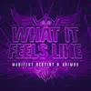 What It Feels Like - Single album lyrics, reviews, download