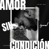 Amor Sin Condición artwork