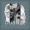 Everything - Dualize lyrics
