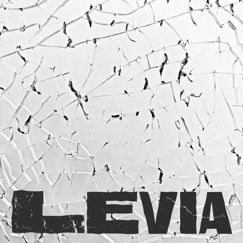 落日飛車 - Levia (feat. 鳳小岳) - Single (2023) [iTunes Plus AAC M4A]-新房子