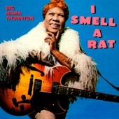 Big Mama Thornton - I Smell a Rat